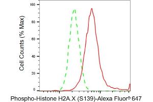 Flow cytometric analysis of Phospho-Histone H2A. (Recombinant H2AFX 抗体  (H2A.XS139ph))