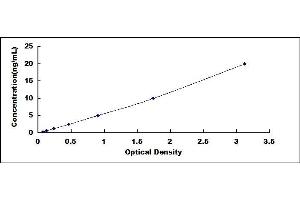 Typical standard curve (TRPM8 ELISA 试剂盒)