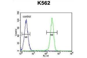Flow Cytometry (FACS) image for anti-Tumor Necrosis Factor (Ligand) Superfamily, Member 4 (TNFSF4) (AA 98-126), (Middle Region) antibody (ABIN951249)