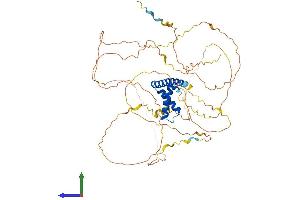 Protein Structure (PS) image for Thymus High Mobility Group Box Protein (TOX) (AA 1-526) protein (His tag) (ABIN7544665)