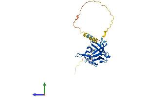 AlphaFold protein structure predicition of Mouse Recombinant Fgf12 Protein, UniprotID P61329