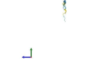 Protein Structure (PS) image for Small Proline Rich Protein 2A (SPRR2A) (AA 1-72) protein (Fc Tag) (ABIN7546277)