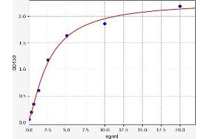 Typical standard curve (PROK2 ELISA 试剂盒)