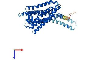 G Protein-Coupled Receptor 26 (GPR26) (AA 1-337) protein (His tag)