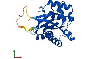 Protein Structure (PS) image for COX4 Neighbor (COX4NB) (AA 1-210) protein (His tag) (ABIN7547312)