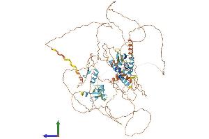 Protein Structure (PS) image for Zinc Finger and BTB Domain-Containing Protein 10 (ZBTB10) (AA 1-871) protein (His tag) (ABIN7545223)