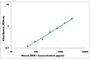 Representative Standard Curve (DKK1 ELISA 试剂盒)