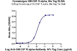 ELISA image for Colony Stimulating Factor 2 Receptor, Alpha, Low-Affinity (Granulocyte-Macrophage) (CSF2RA) (AA 20-317) protein (His tag) (ABIN7274779)