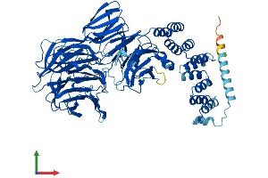 Protein Structure (PS) image for Intraflagellar Transport 80 Homolog (IFT80) (AA 1-777) protein (His tag) (ABIN7548526)