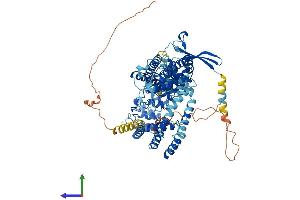 Protein Structure (PS) image for Transient Receptor Potential Cation Channel, Subfamily V, Member 6 (TRPV6) (AA 1-767) protein (His tag) (ABIN7564796)