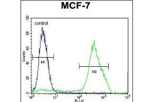 MBD3L3 Antibody (C-term) (ABIN656066 and ABIN2845416) flow cytometric analysis of MCF-7 cells (right histogram) compared to a negative control cell (left histogram). (MBD3L3 抗体  (C-Term))