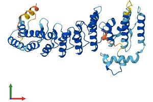 Protein Structure (PS) image for Ankyrin Repeat and SOCS Box Containing 6 (ASB6) (AA 1-421) protein (His tag) (ABIN7552347)