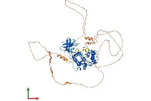 Protein Structure (PS) image for Male Germ Cell-Associated Kinase (MAK) (AA 1-623) protein (His tag) (ABIN7554524)