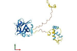 Protein Structure (PS) image for FSHD Region Gene 1 (FRG1) (AA 1-258) protein (His tag) (ABIN7556798)