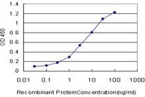 Detection limit for recombinant GST tagged HOXD11 is approximately 0. (HOXD11 抗体  (AA 1-76))