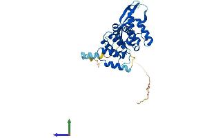 Protein Structure (PS) image for Sorting Nexin 20 (SNX20) (AA 1-316) protein (His tag) (ABIN7546292)