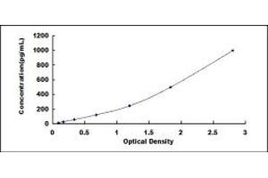 Typical standard curve (COL3A1 ELISA 试剂盒)