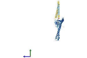 Protein Structure (PS) image for Tripartite Motif Containing 59 (TRIM59) (AA 1-403) protein (His tag) (ABIN7560244)