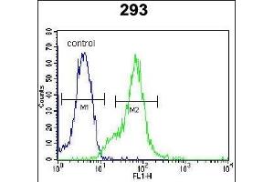LGALS9B Antibody (Center) (ABIN654023 and ABIN2843944) flow cytometric analysis of 293 cells (right histogram) compared to a negative control cell (left histogram). (LGALS9B 抗体  (AA 160-188))