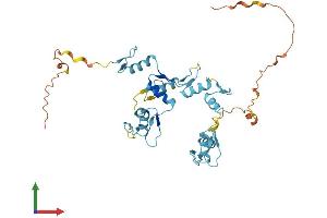 AlphaFold protein structure predicition of Mouse Recombinant Gtf3a Protein, UniprotID Q8VHT7