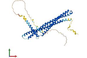 Protein Structure (PS) image for ADP-Ribosylation Factor Interacting Protein 2 (ARFIP2) (AA 1-341) protein (His tag) (ABIN7552235)