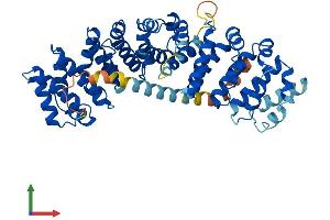 AlphaFold protein structure predicition of Mouse Recombinant Tmco6 Protein, UniprotID Q8BQX5 (TMCO6 Protein (AA 1-494) (His tag))