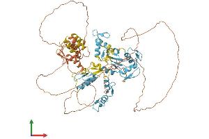 Protein Structure (PS) image for Zinc Finger and BTB Domain Containing 39 (ZBTB39) (AA 1-712) protein (His tag) (ABIN7545285)