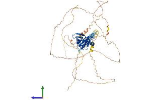 AlphaFold protein structure predicition of Mouse Recombinant Dab1 Protein, UniprotID P97318