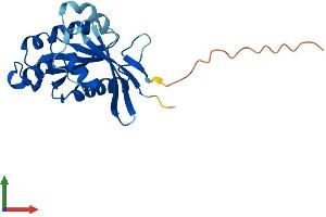 Protein Structure (PS) image for RAB39B, Member RAS Oncogene Family (RAB39B) (AA 1-213) protein (His tag) (ABIN7558625)