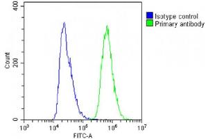 Overlay histogram showing A431 cells stained with (ABIN6243400 and ABIN6578788)(green line). (NSFL1C 抗体  (AA 214-248))