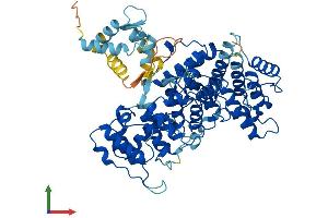 AlphaFold protein structure predicition of Human Recombinant PLS1 Protein, UniprotID Q14651