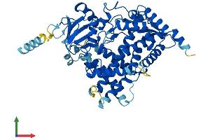 AlphaFold protein structure predicition of Human Recombinant CYP17A1 Protein, UniprotID P05093