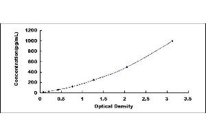 Typical standard curve (PLGF ELISA 试剂盒)