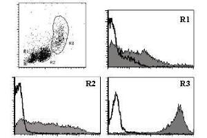 Flow Cytometry (FACS) image for anti-CD9 (CD9) antibody (ABIN1449261) (CD9 抗体)
