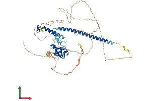 Protein Structure (PS) image for Glucocorticoid Modulatory Element Binding Protein 2 (GMEB2) (AA 1-530) protein (His tag) (ABIN7548074)