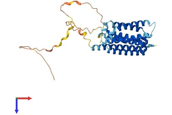 FAIM2 Protein (AA 1-316) (His tag)