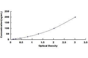 Typical standard curve (C1QBP ELISA 试剂盒)