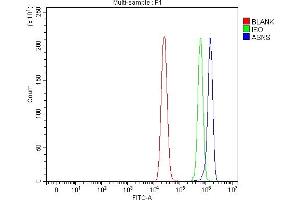 Flow Cytometry analysis of HL-60 cells using anti-RAB3GAP1 antibody (ABIN7599702).