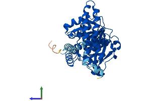 Protein Structure (PS) image for 1-Acylglycerol-3-Phosphate O-Acyltransferase 4 (AGPAT4) (AA 1-378) protein (His tag) (ABIN7550828)