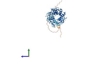 Protein Structure (PS) image for Zinc Finger Protein 345 (ZNF345) (AA 1-488) protein (His tag) (ABIN7545318)