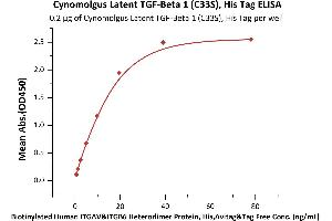 Immobilized Cynomolgus Latent  1 (C33S), His Tag (ABIN6973142) at 2 μg/mL (100 μL/well) can bind Biotinylated Human ITGAV&ITGB6 Heterodimer Protein, His,Avitag&Tag Free (ABIN5674599,ABIN6253672) with a linear range of 0.
