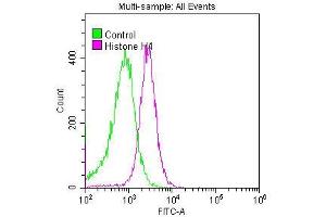 Overlay histogram showing Hela cells stained with ABIN7127297 (red line) at 1:50. (Recombinant HIST1H4A 抗体)