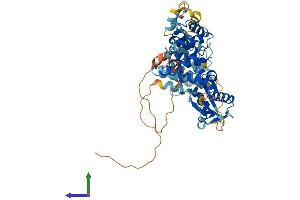 AlphaFold protein structure predicition of Human Recombinant FASTK Protein, UniprotID Q14296