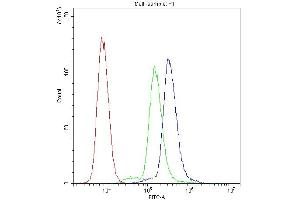 Flow Cytometry analysis of A549 cells using anti-SCR1B antibody (ABIN5693286).