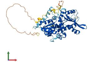 Protein Structure (PS) image for Nuclear Prelamin A Recognition Factor (NARF) (AA 1-462) protein (His tag) (ABIN7560758)