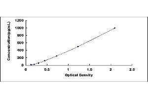 Typical standard curve (CCL7 ELISA 试剂盒)