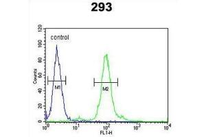 Flow Cytometry (FACS) image for anti-Finkel-Biskis-Reilly Murine Sarcoma Virus (FBR-MuSV) Ubiquitously Expressed (FAU) antibody (ABIN2998457) (FAU 抗体)