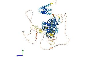 Protein Structure (PS) image for Integrator Complex Subunit 6 (INTS6) (AA 1-887) protein (His tag) (ABIN7554188)