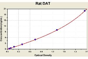 Diagramm of the ELISA kit to detect Rat DATwith the optical density on the x-axis and the concentration on the y-axis.