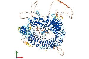 AlphaFold protein structure predicition of Human Recombinant PHLPP2 Protein, UniprotID Q6ZVD8